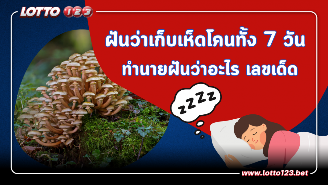 เปิดคำทำนาย ฝันว่าเก็บเห็ดโคนทั้ง  7 วัน  มีความหมายว่าอย่างไร?