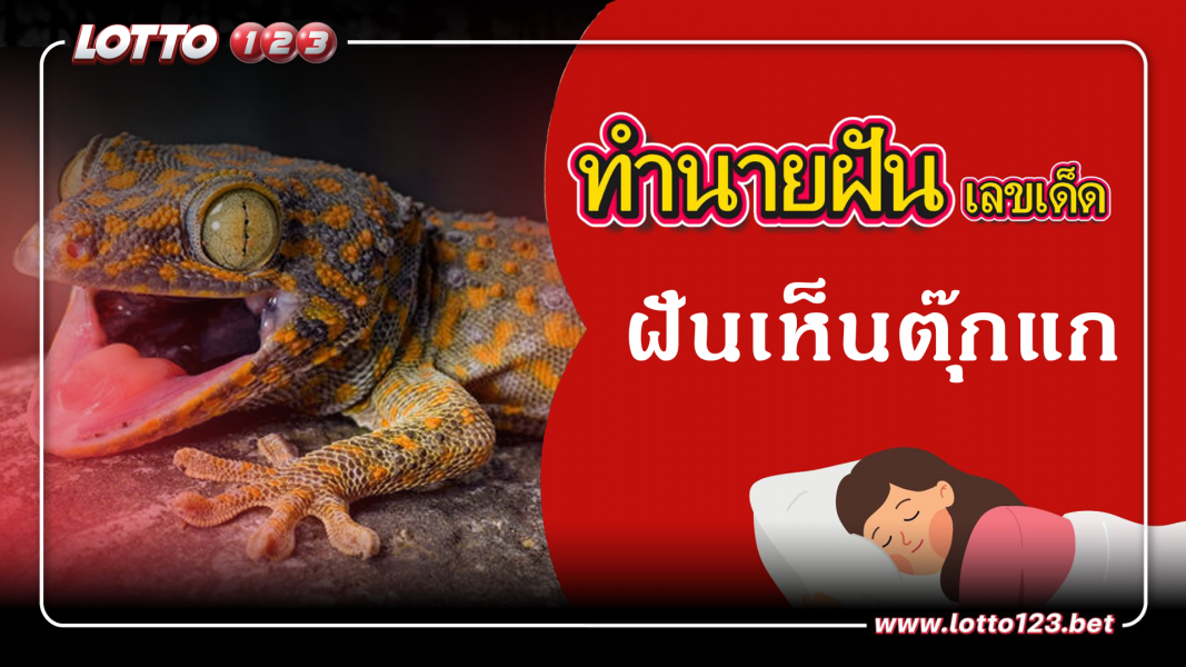 ฝันเห็นตุ๊กแก  ทำนายฝันเหตุการณ์ความฝันแบบนี้มีความหมายว่าอย่างไร พร้อมเลขมงคลนำโชค